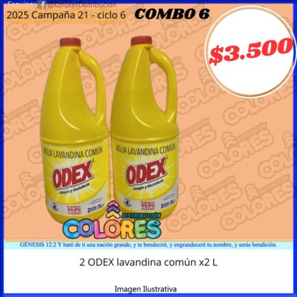 COMBO 6 - 2 ODEX LAVANDINA COMÚN x2L