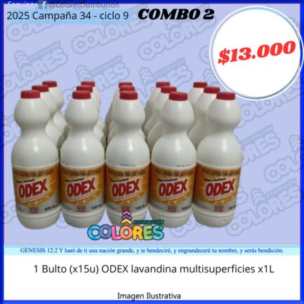 COMBO 2 - 1 BULTO (x15u) ODEX LAVANDINA MULTISUPERFICIES x1L