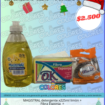 COMBO 2 - MAGISTRAL DETERGENTE x225ml LIMÓN + FIBRA ESPONJA + ESPONJA DE ACERO x10g