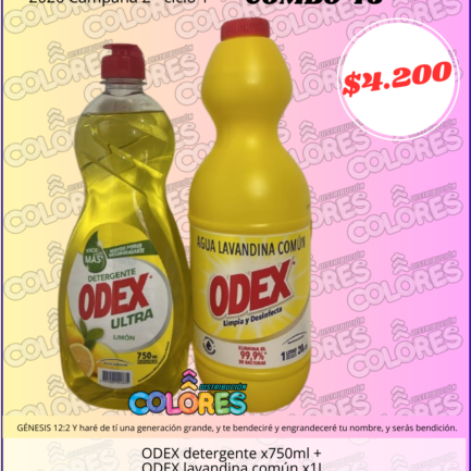 COMBO 46 - ODEX DETERGENTE x750ml + ODEX LAVANDINA COMÚN x1L