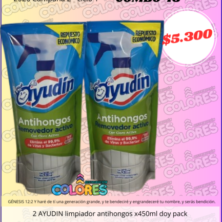 COMBO 48 - 2 AYUDIN LIMPIADOR ANTIHONGOS x450ml DOY PACK